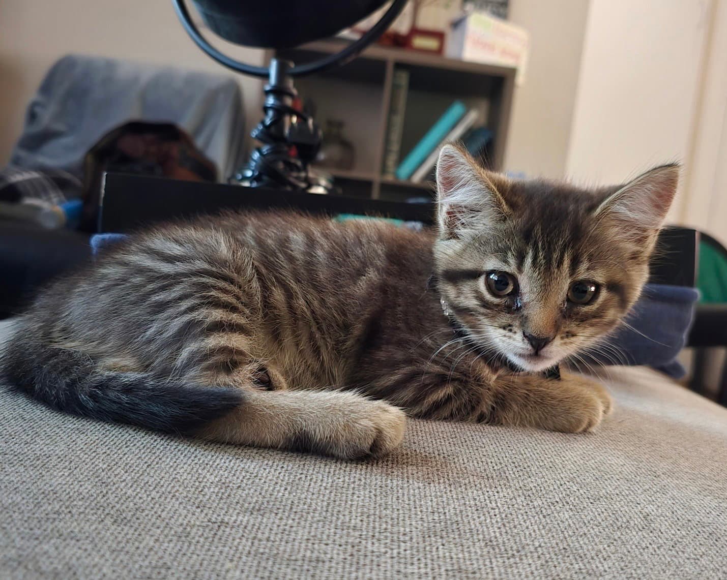 Gina