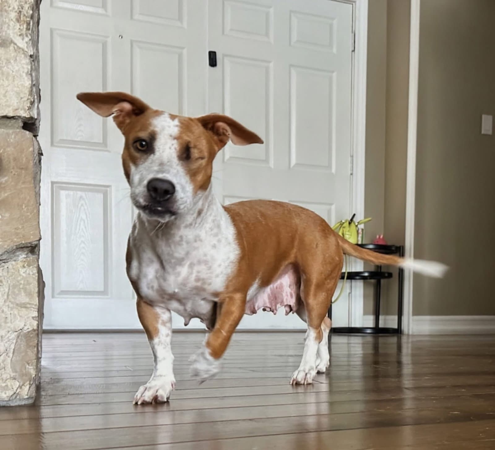 Emma - Momma