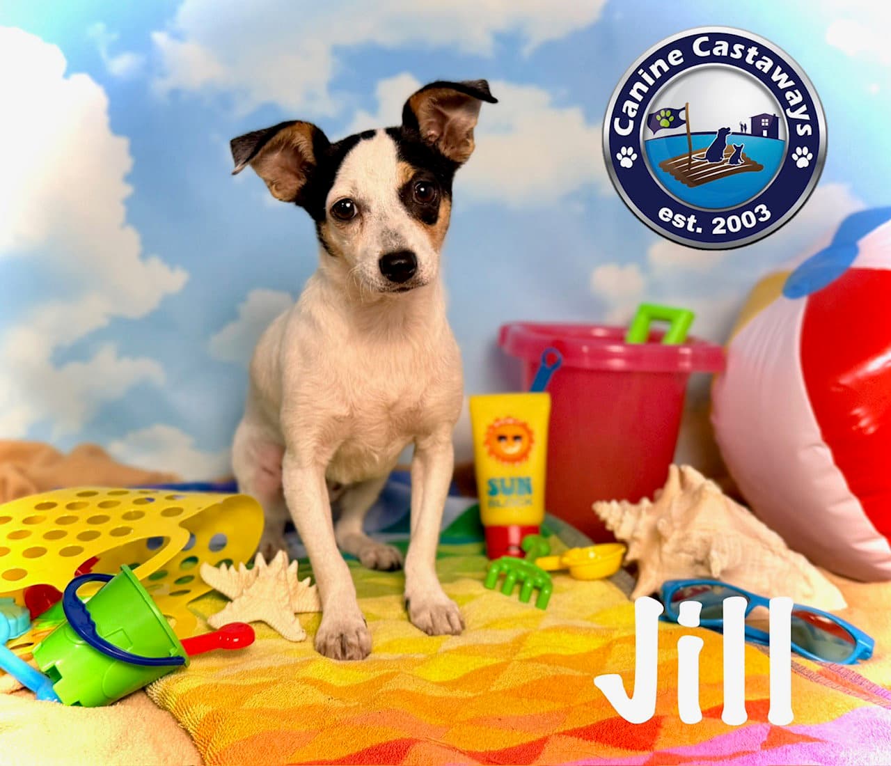 Jill