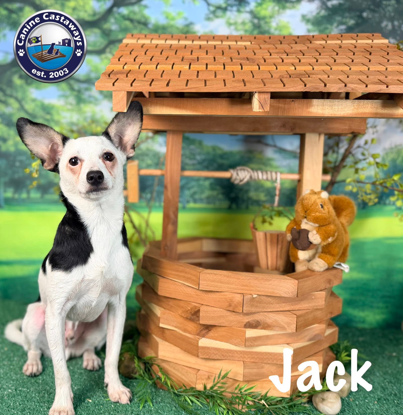 Jack