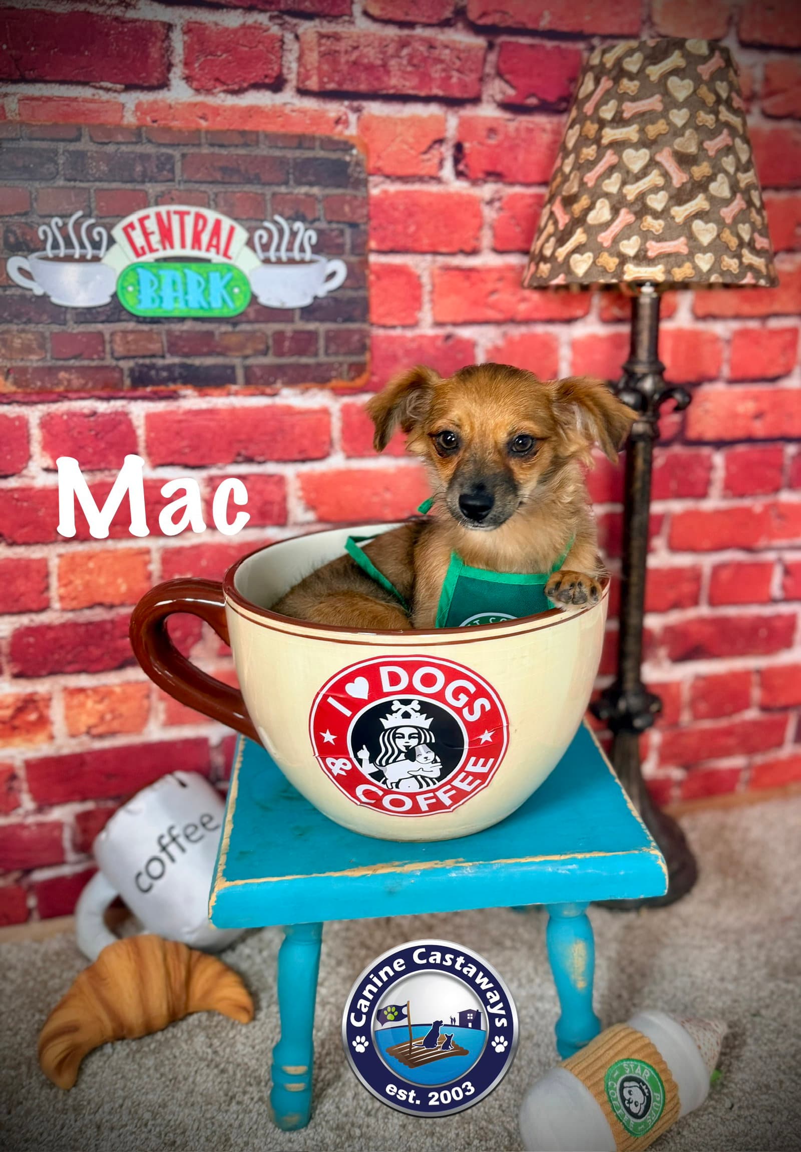 Mac