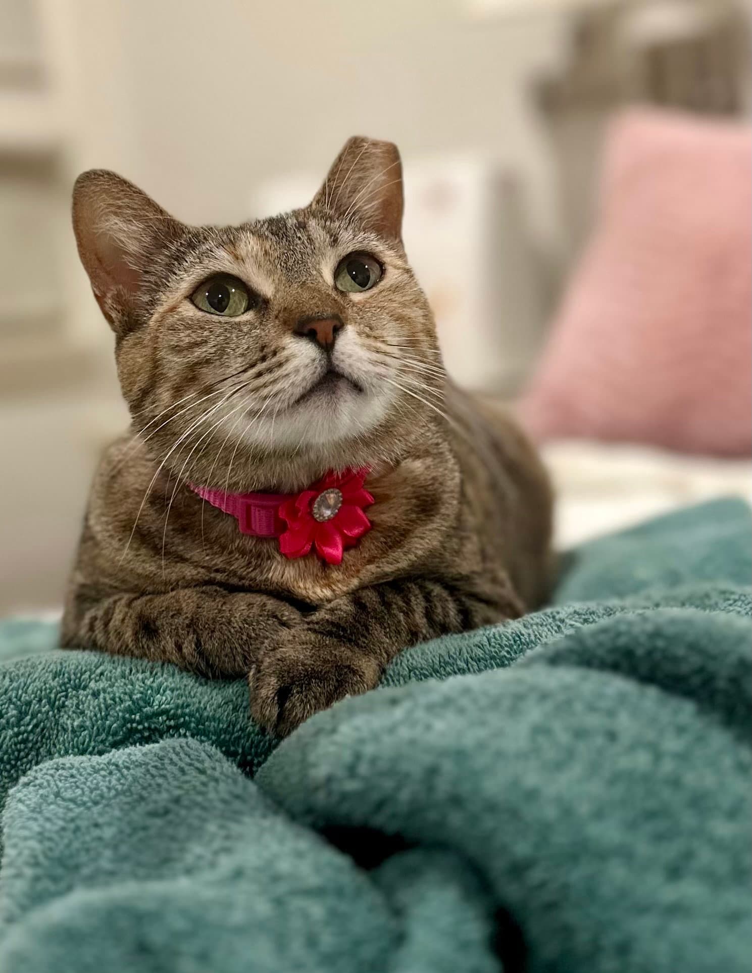 Penny