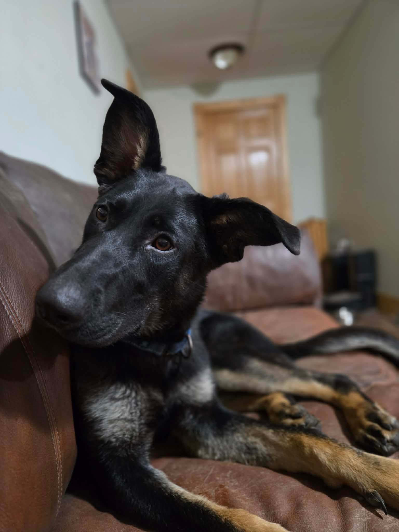 Winnie