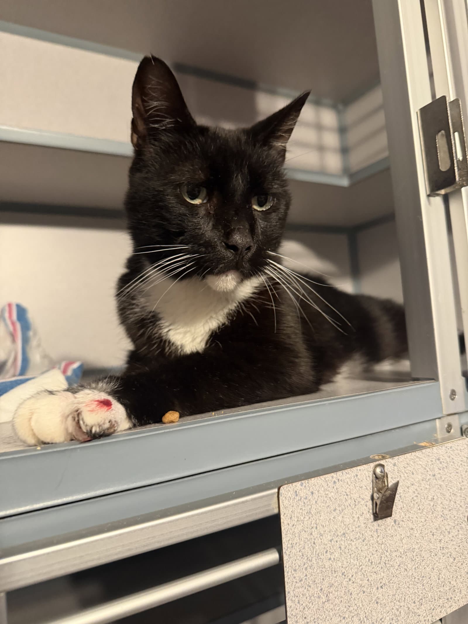 Sebastian