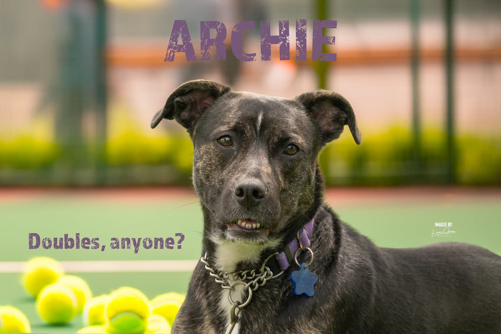 Archie