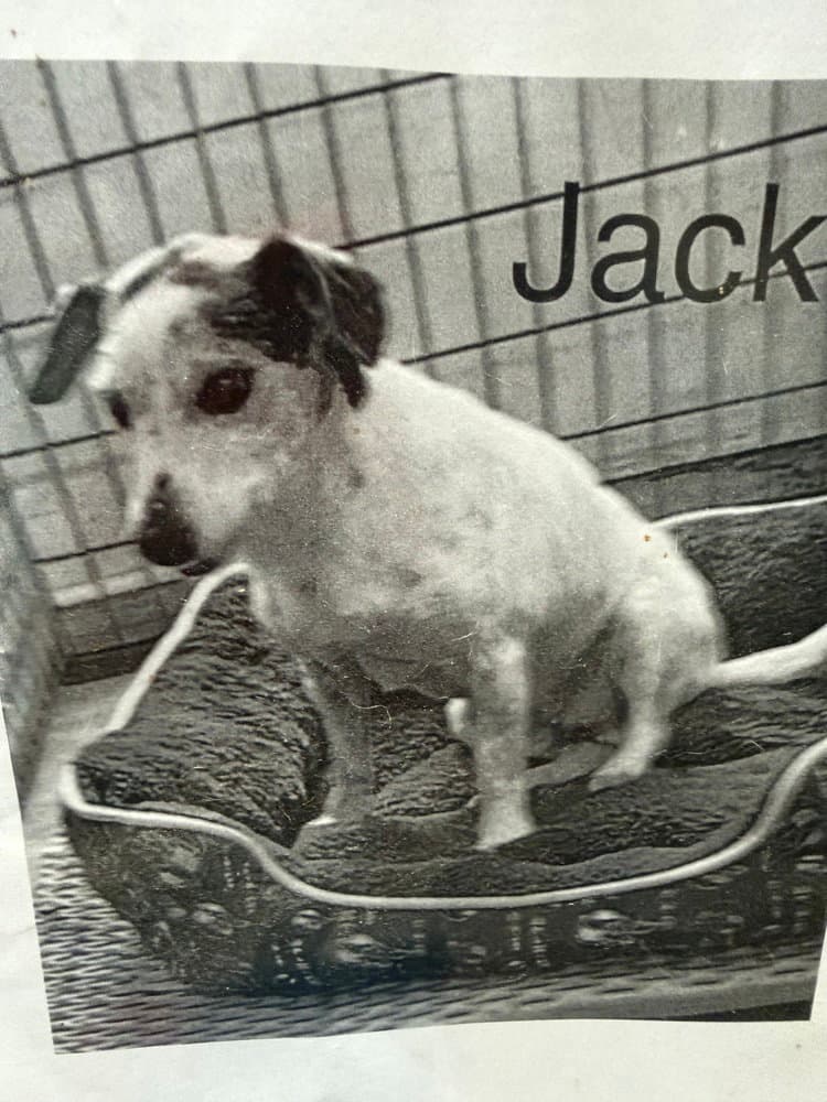 Jack *
