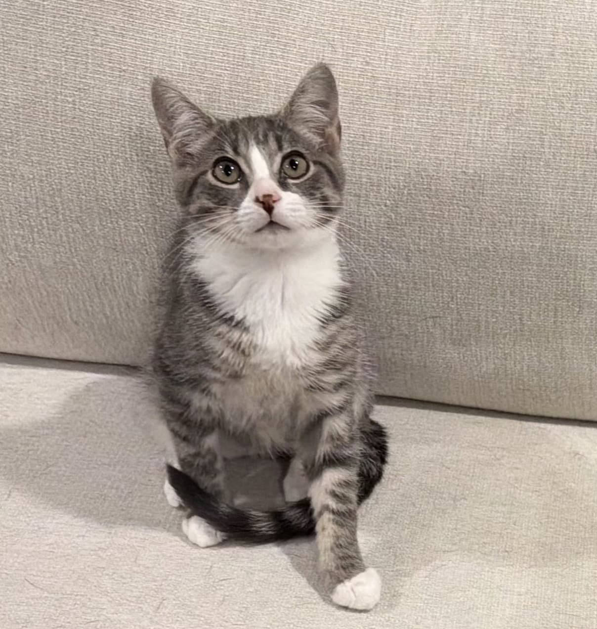 Terrance