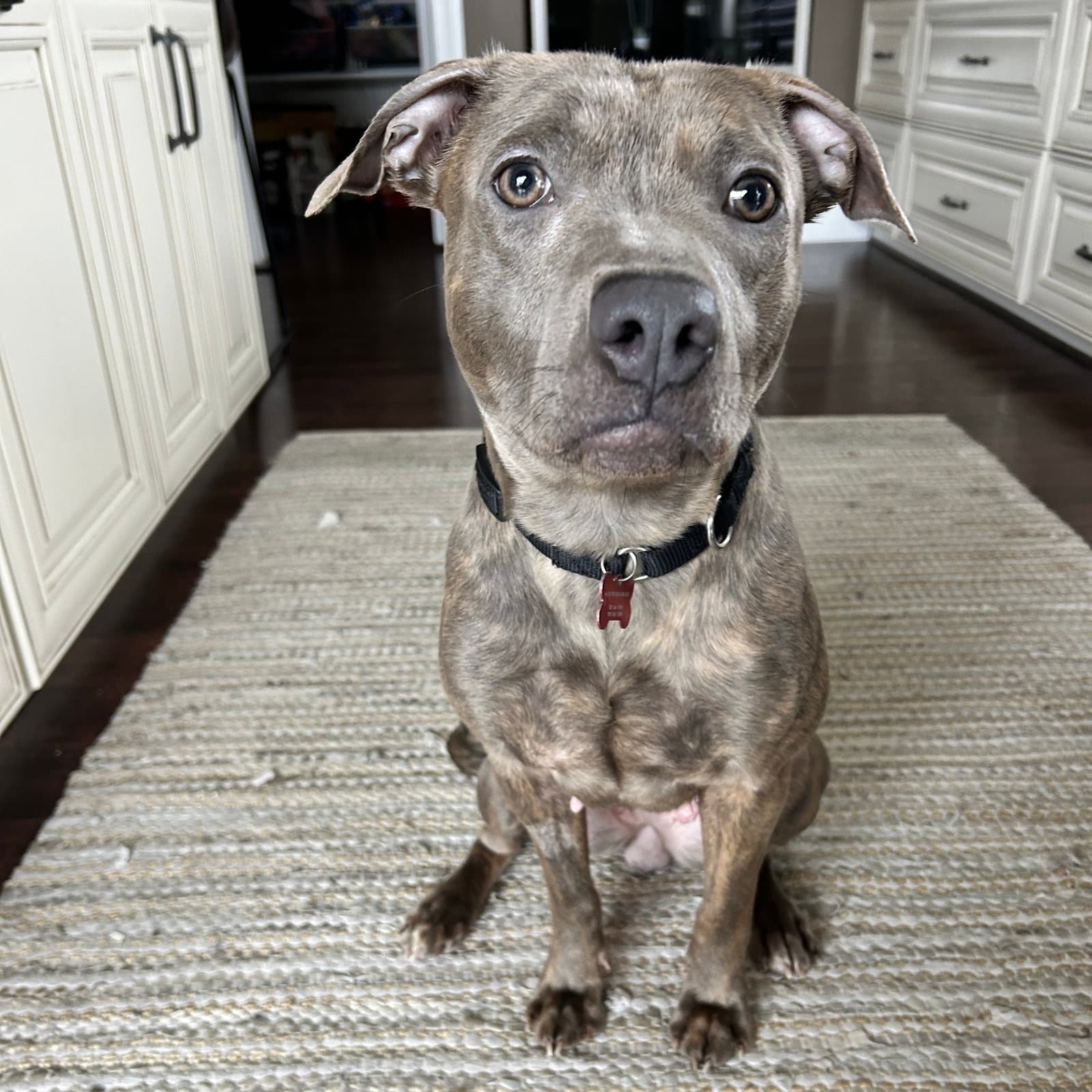 Mahina