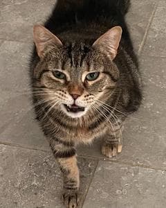 Matilda