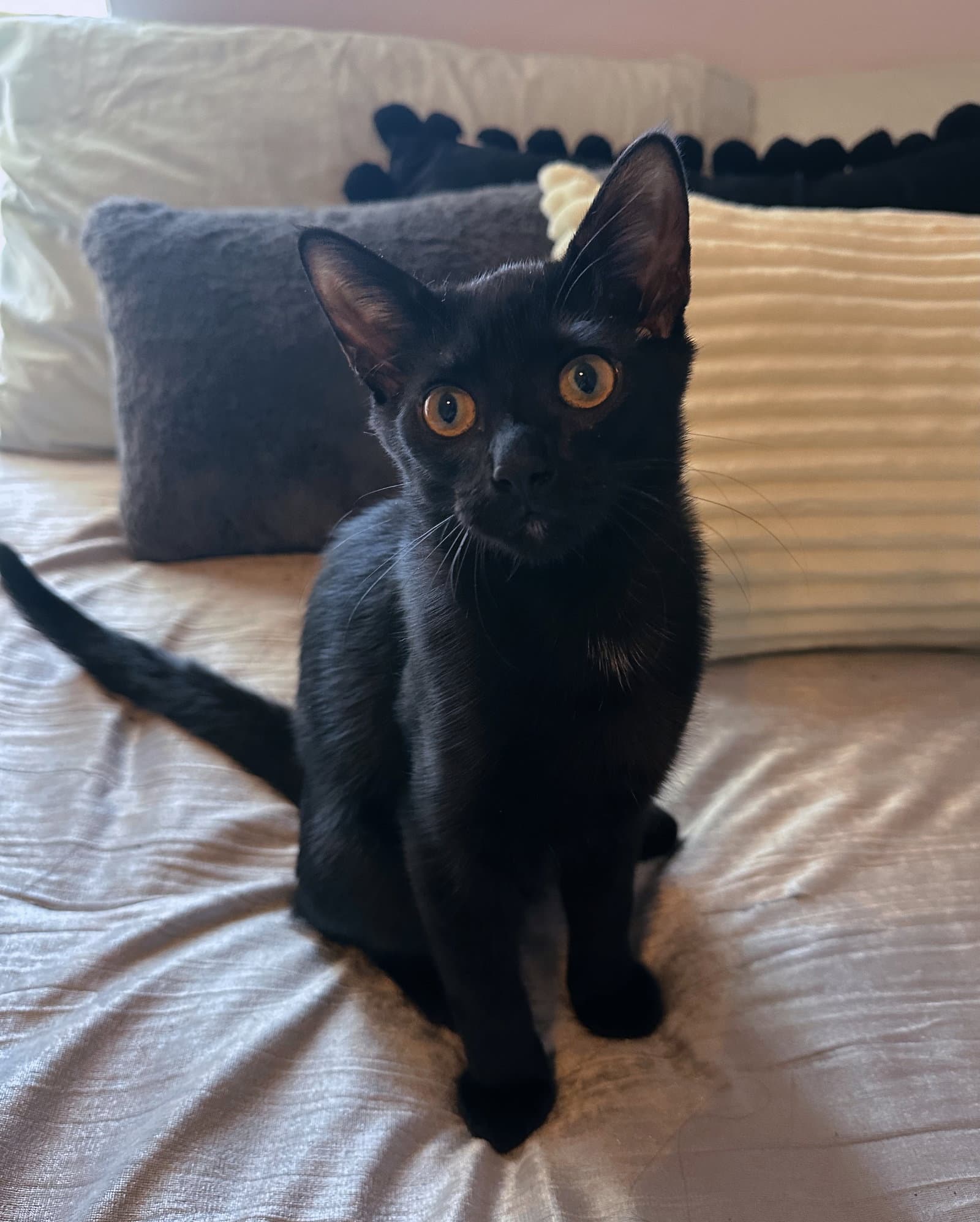 Salem