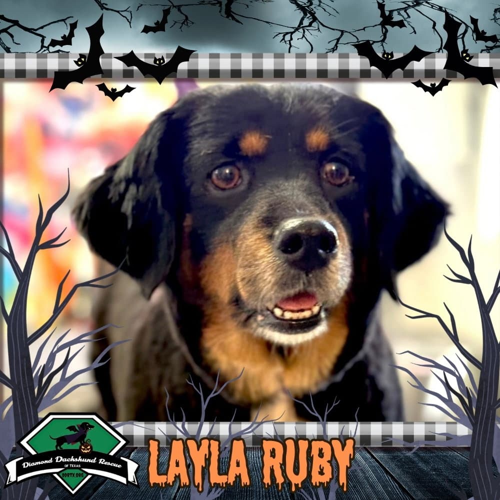 Layla Ruby