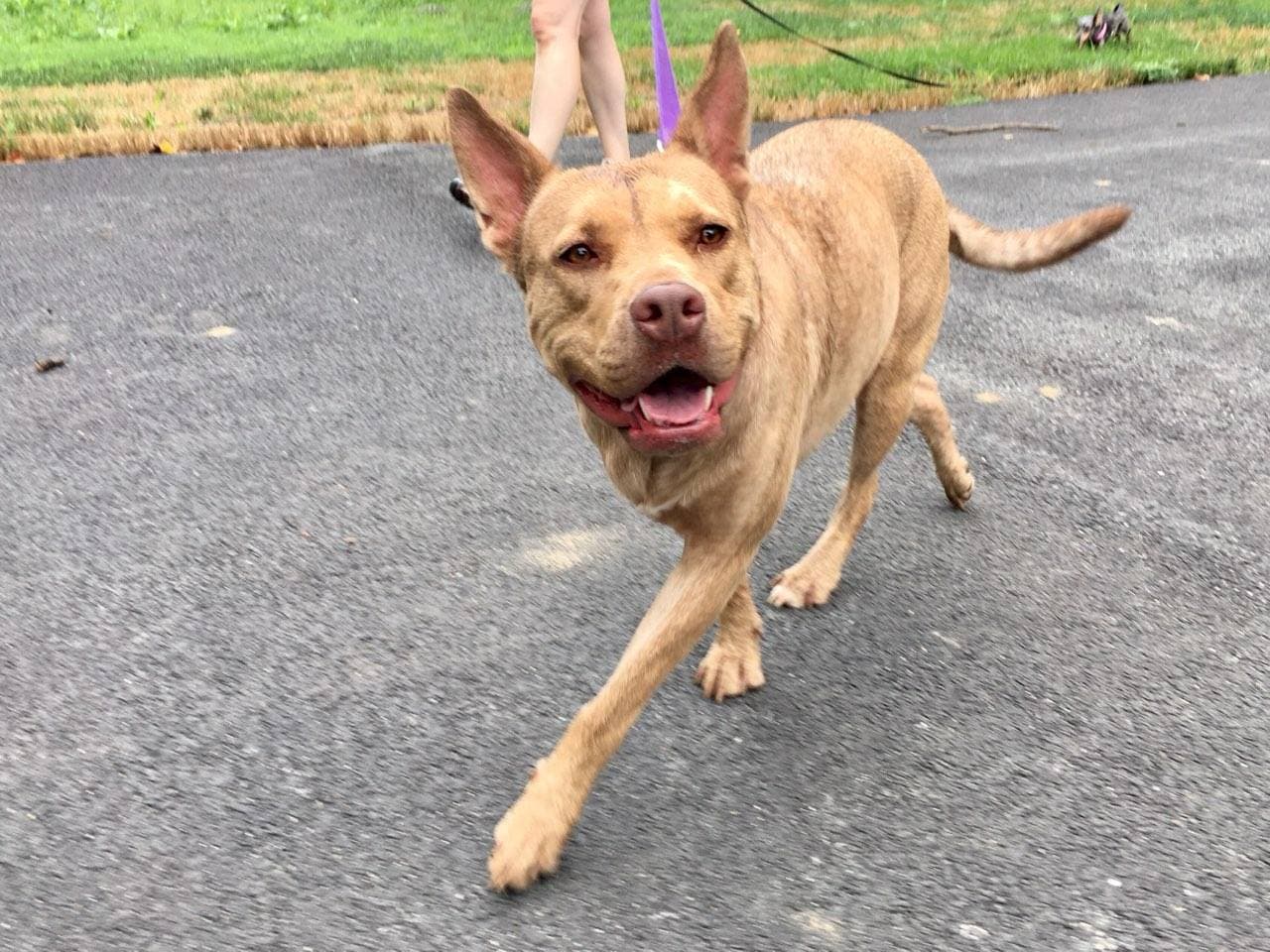 Coco