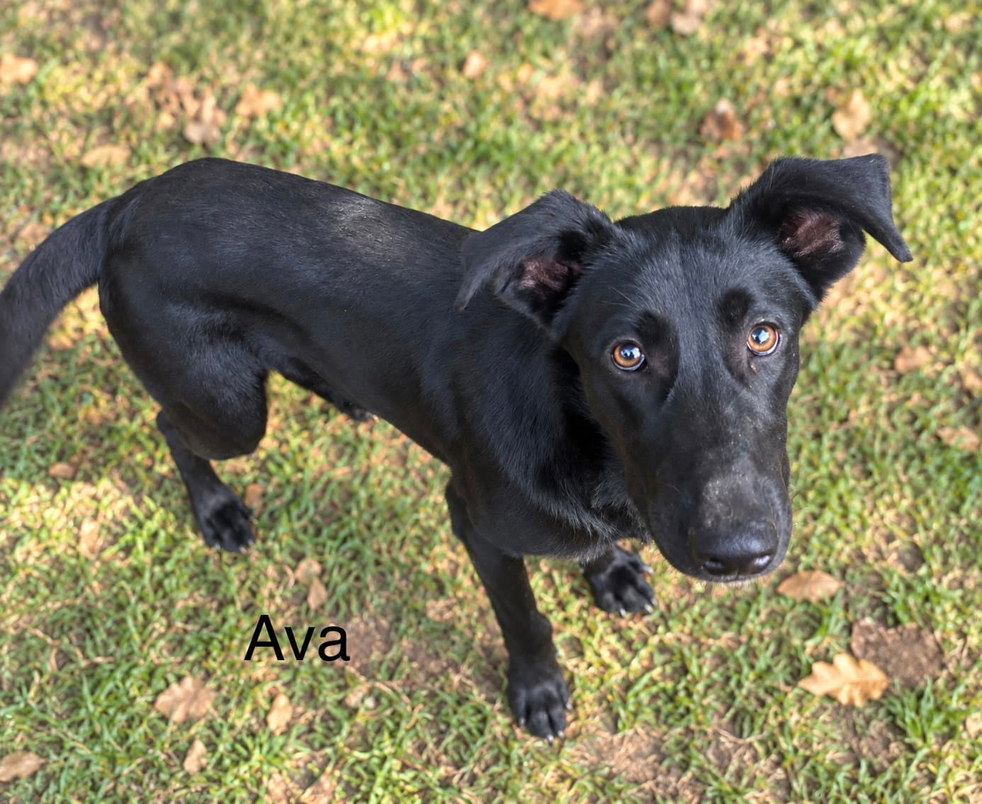 Ava 9mo