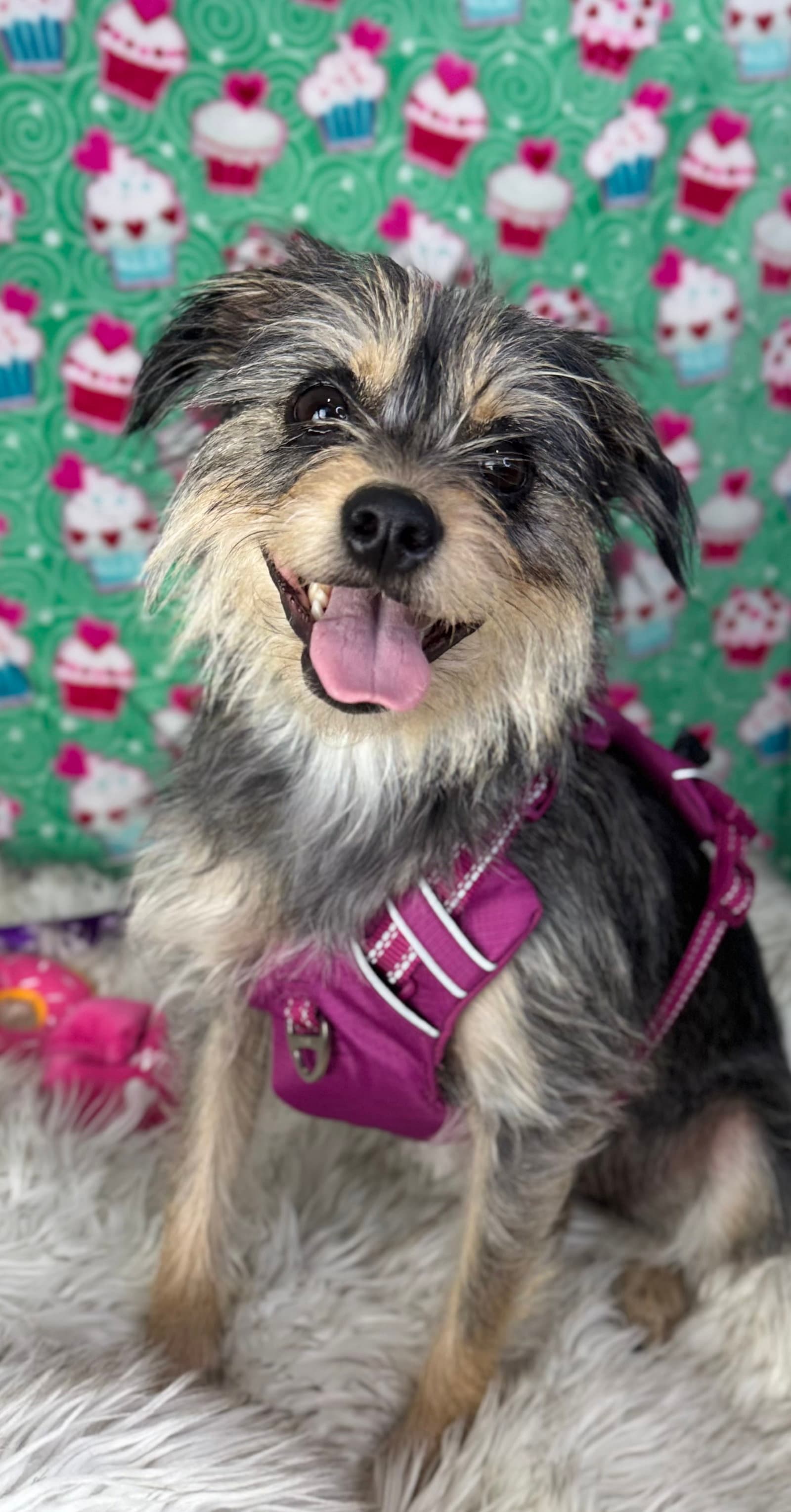 Bella