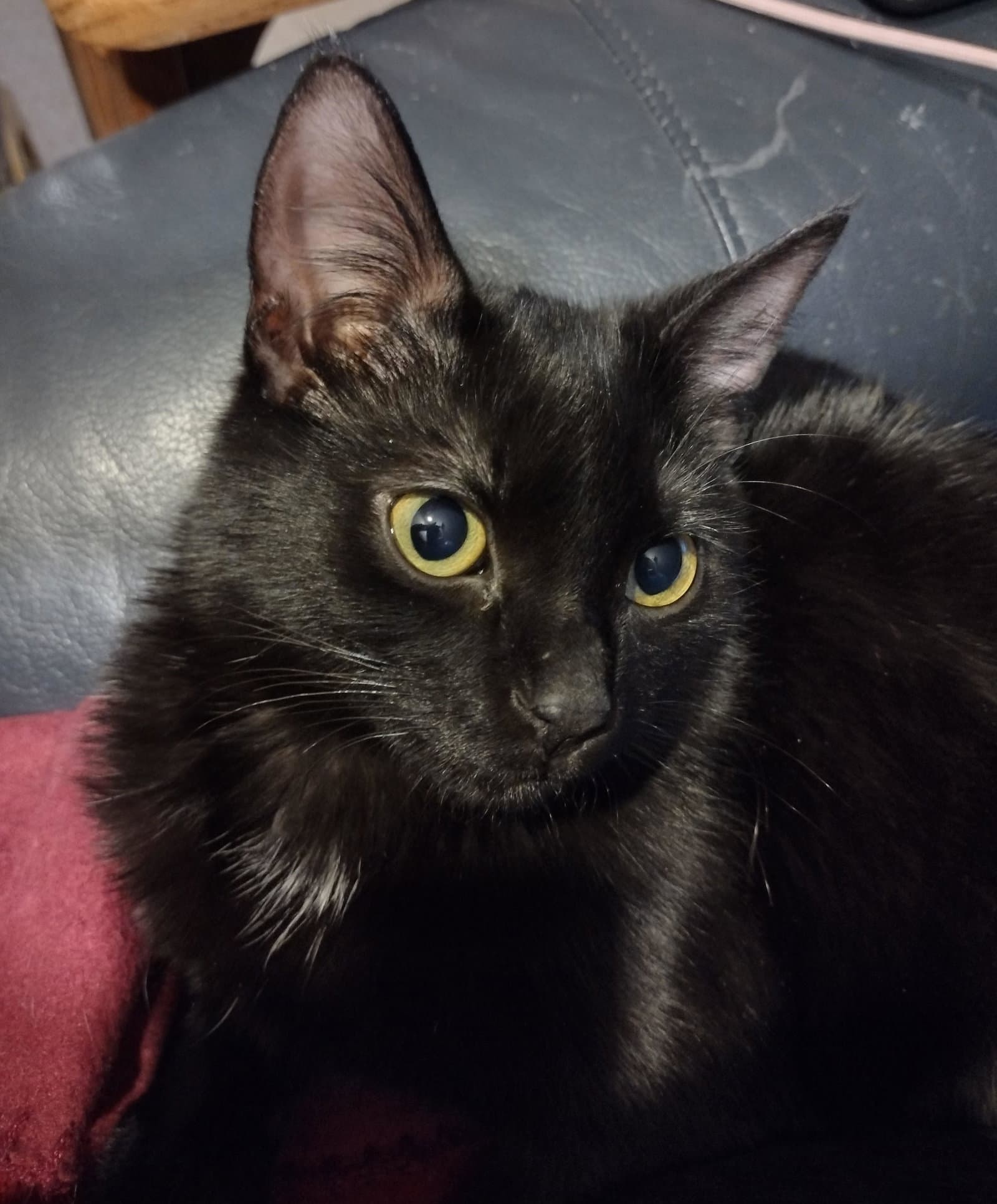 Pico