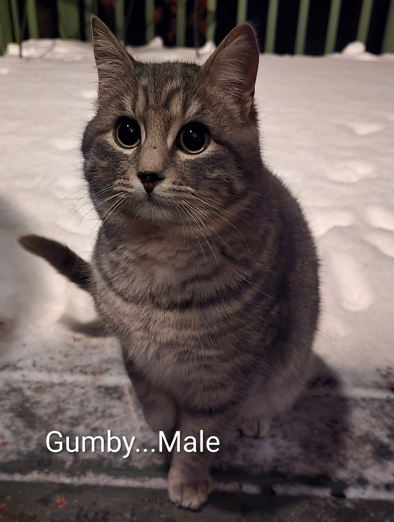 Gumby
