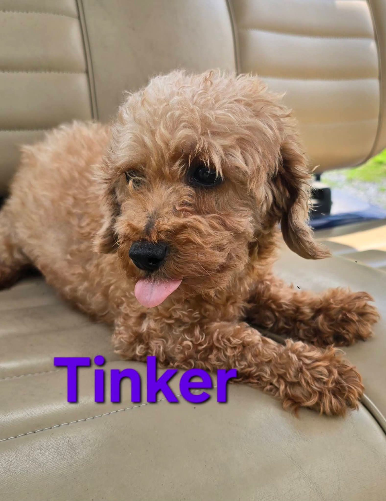 Tinker
