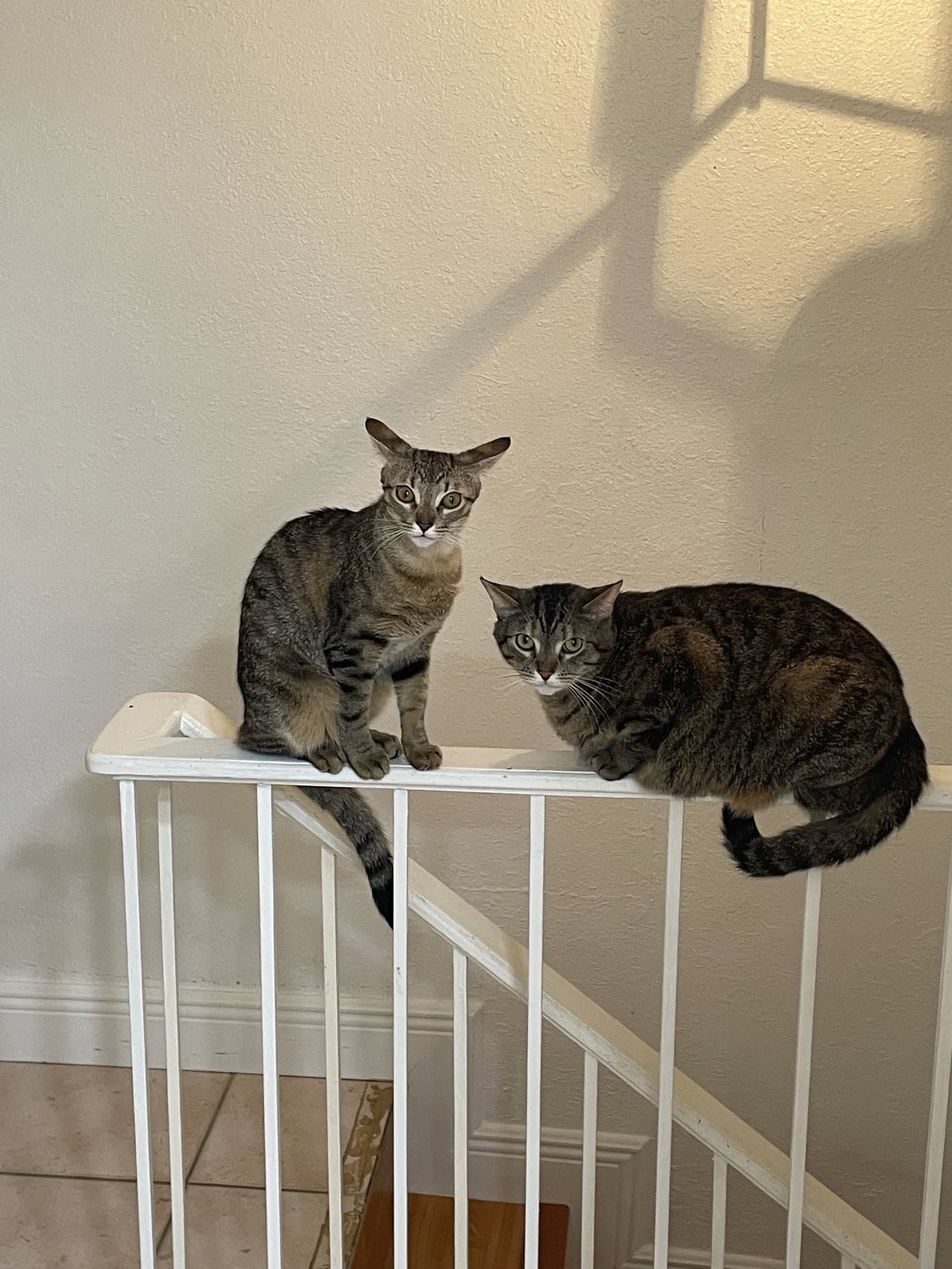 COURTESY POST: Ivy & Missou (Mom & Daughter)
