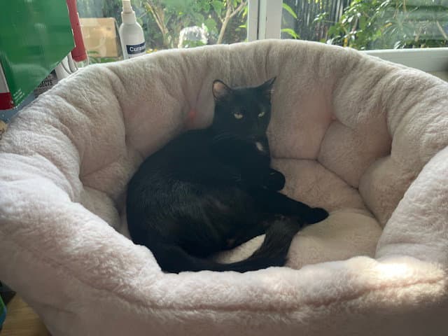 COURTESY POST: Luna