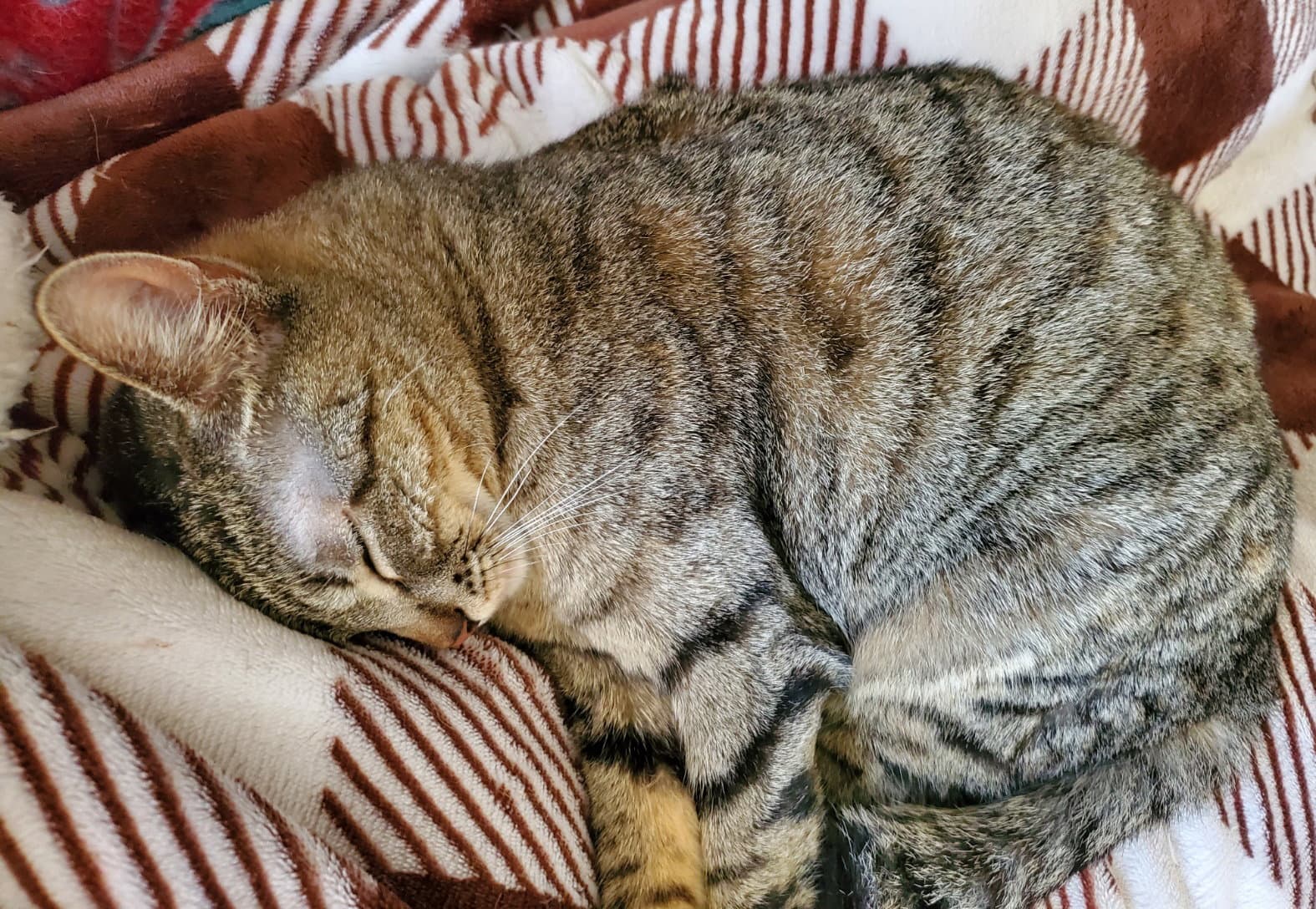 Abby