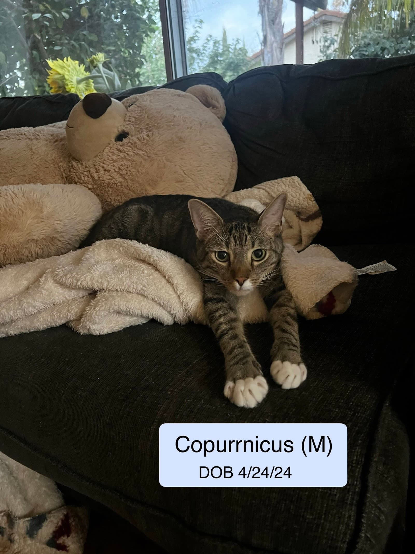 Copurrnicus bonded with Ella