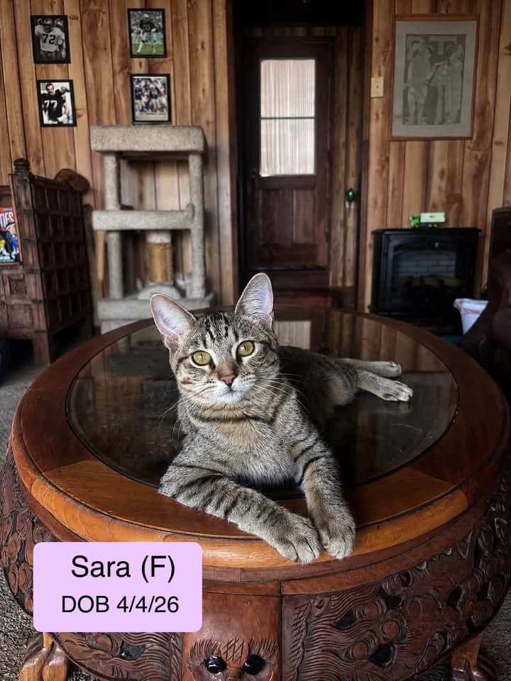 Sara