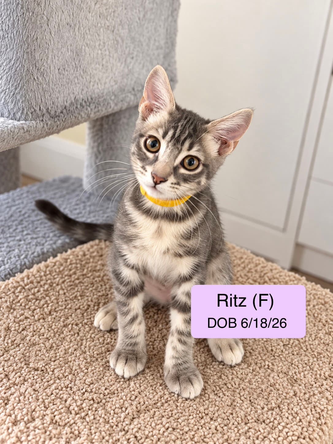 Ritz