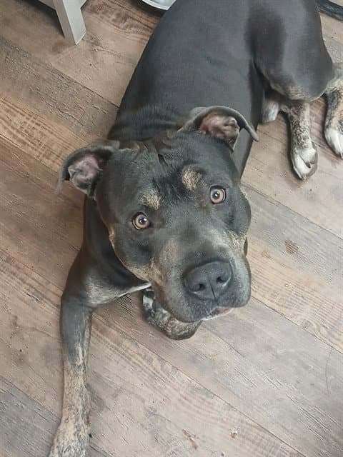 Zion