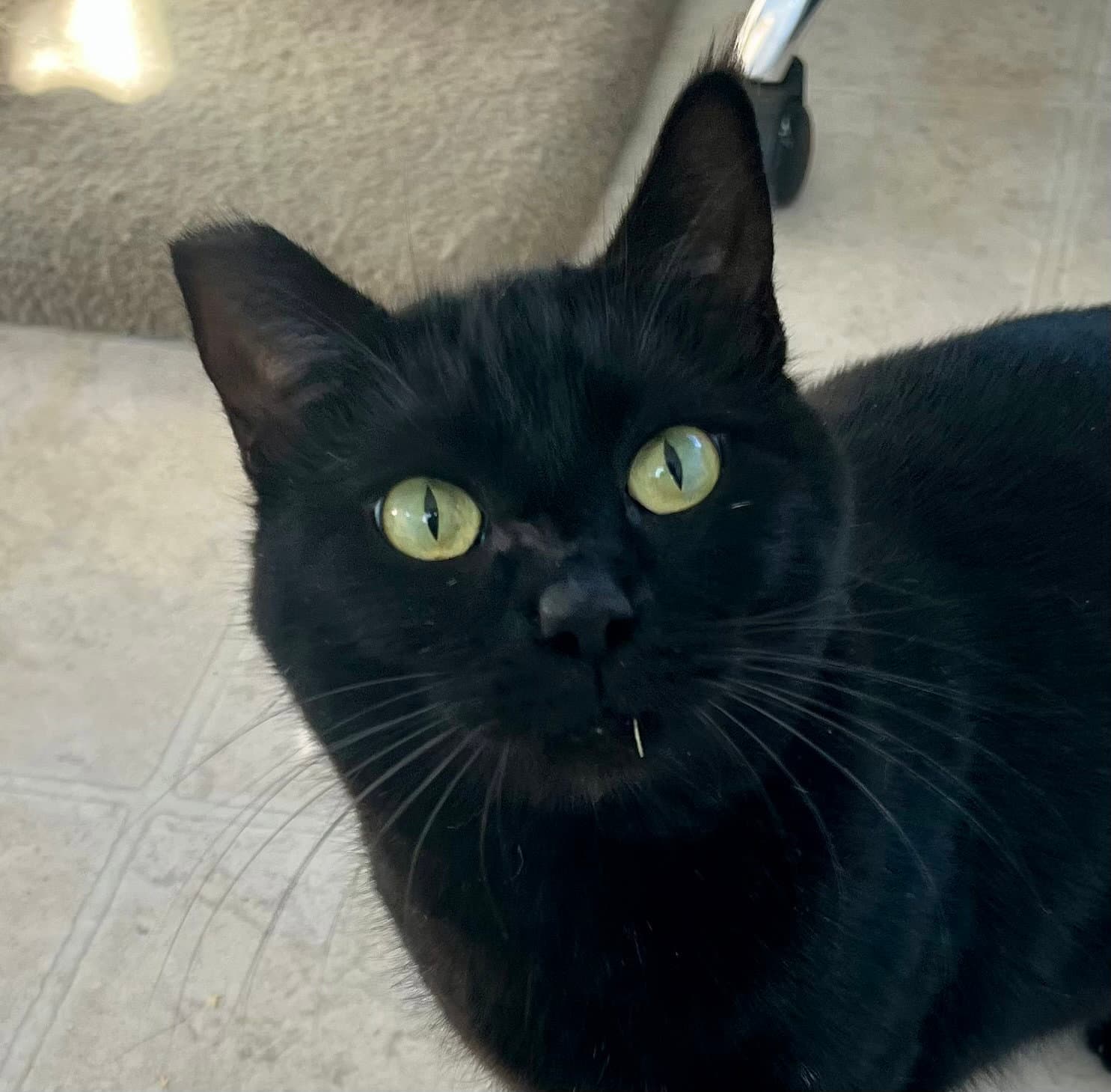 Onyx