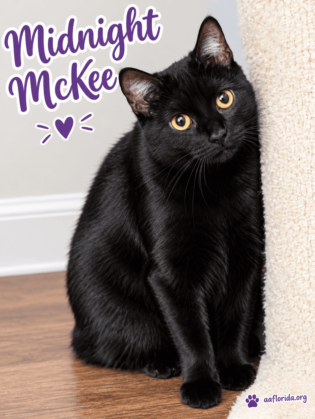 Midnight McKee