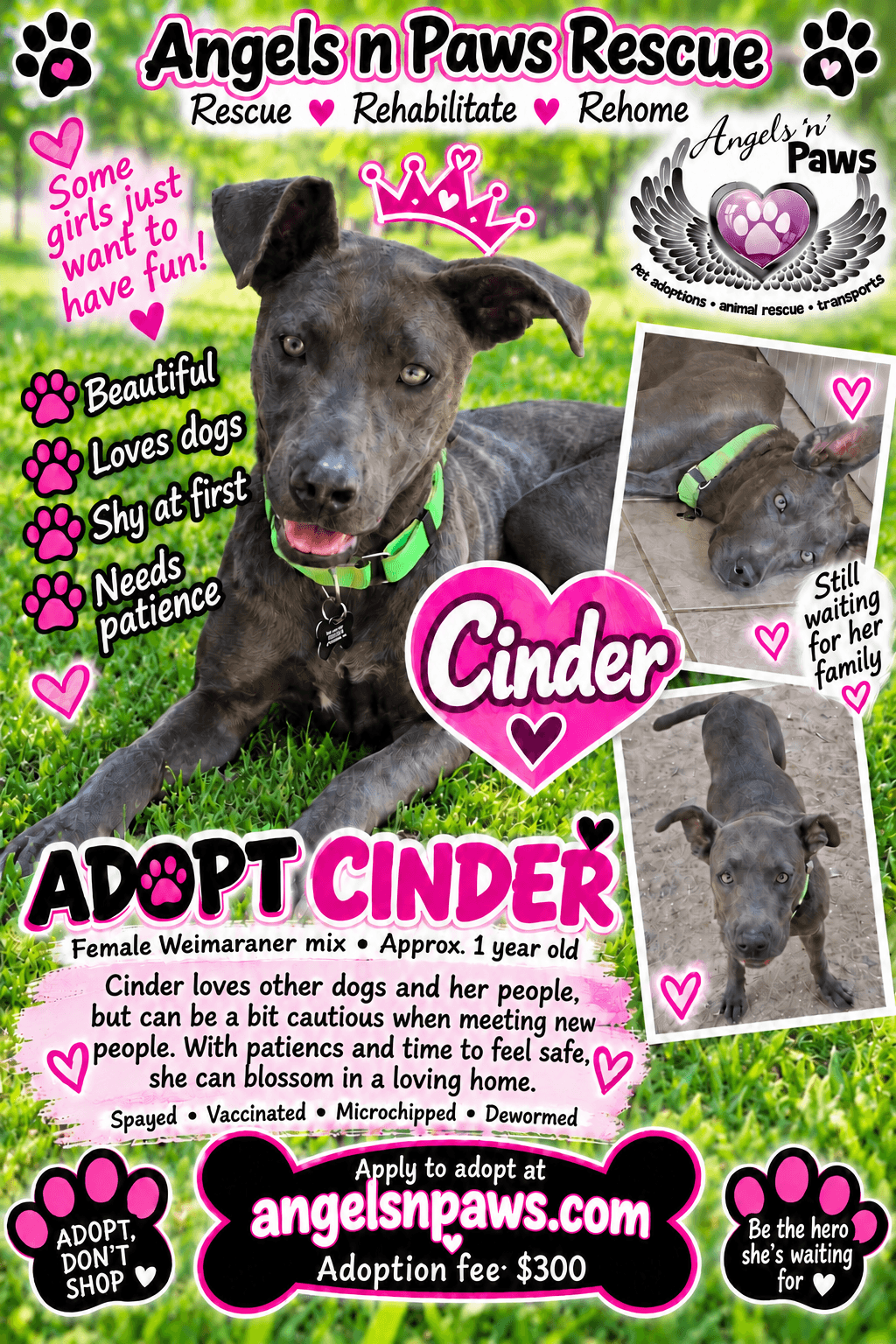 Cinder