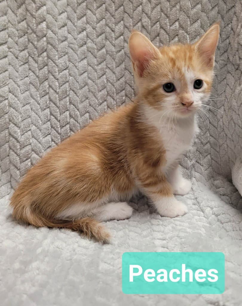 Peaches