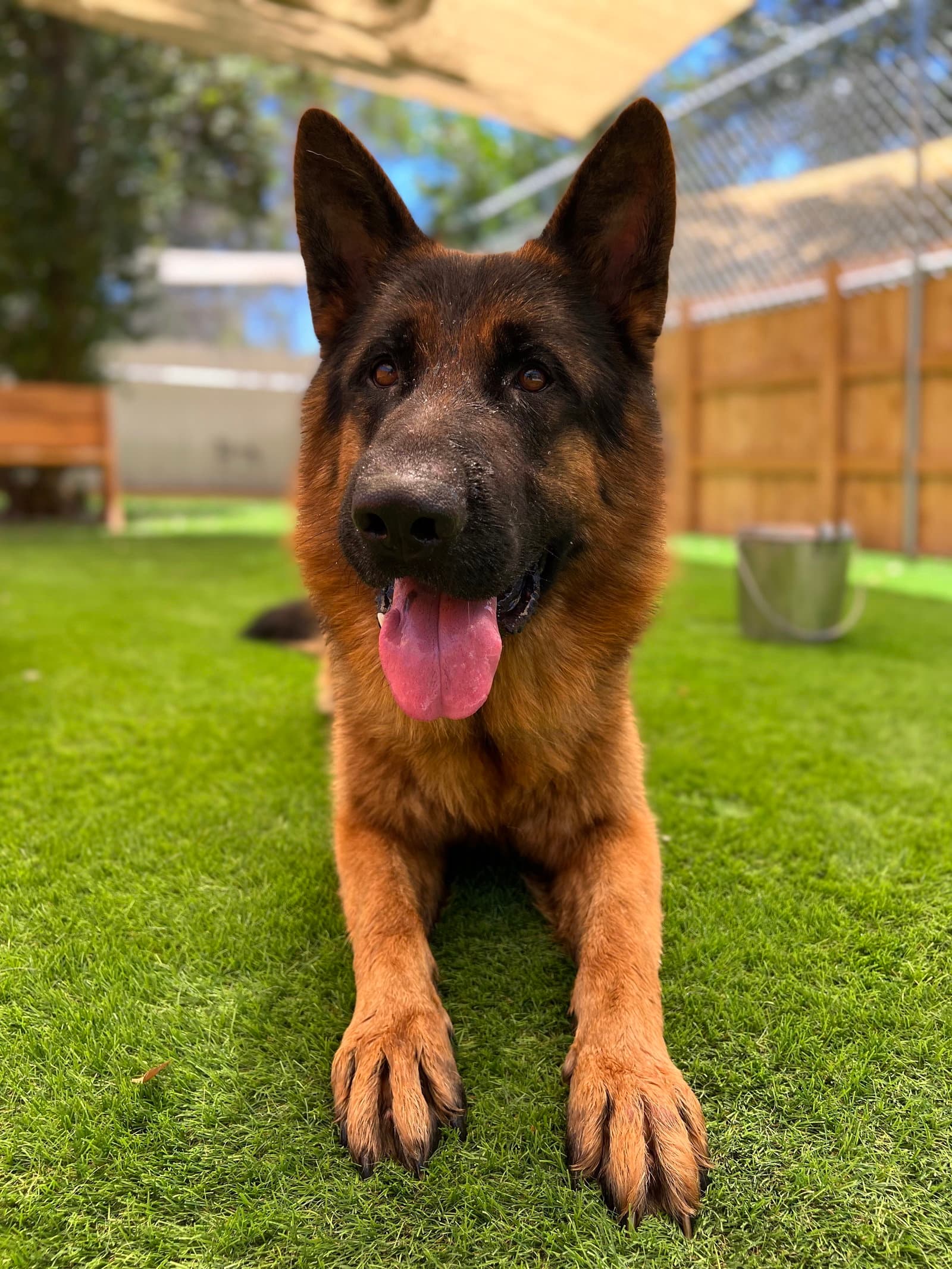 Ragnar