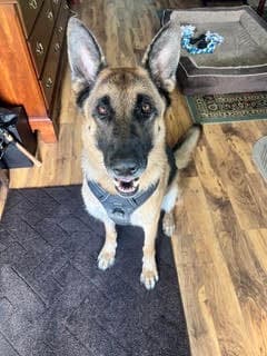 Max