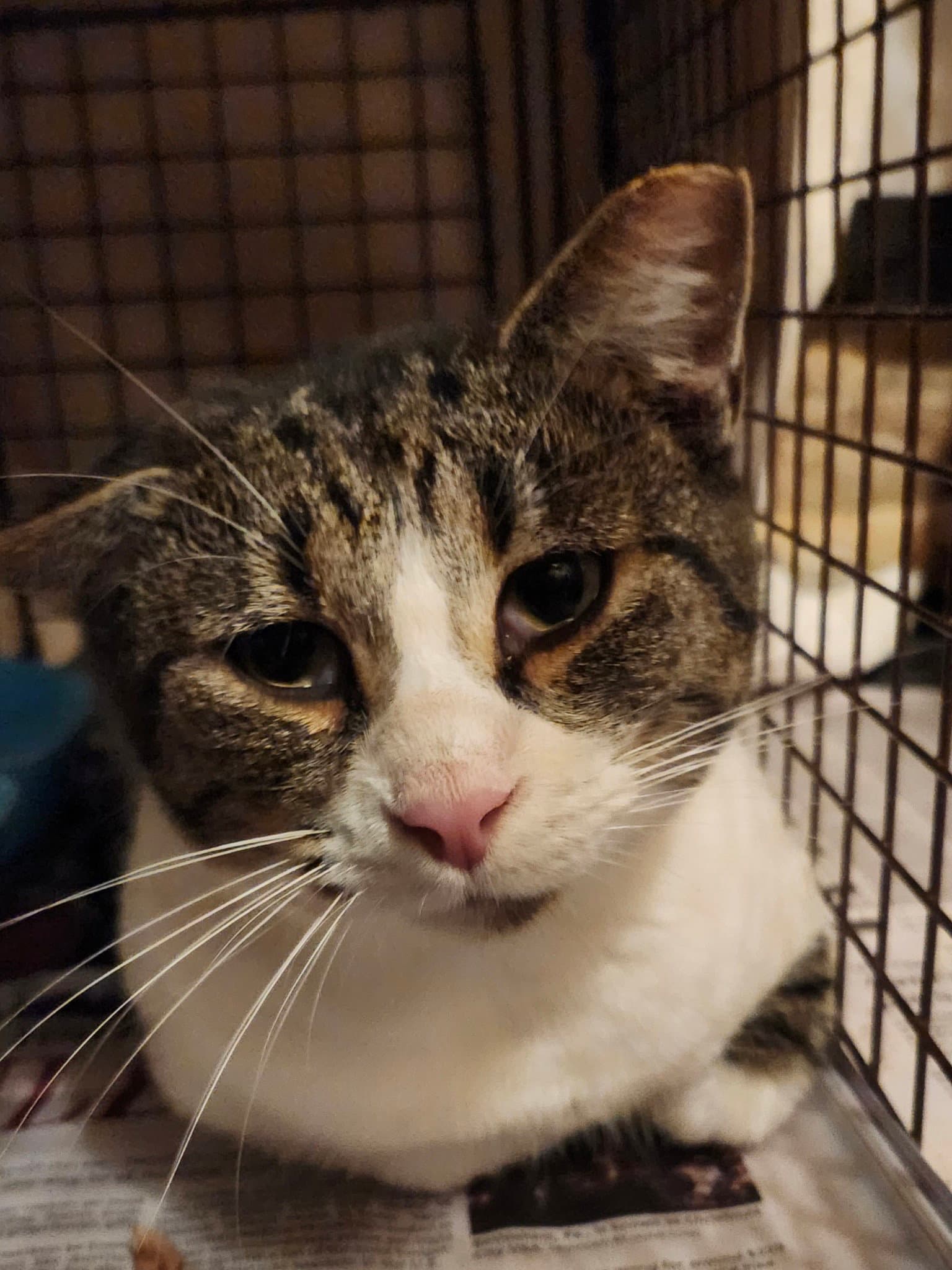 Dennis (aka Sly)