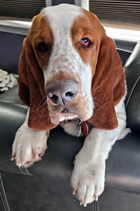 Copper