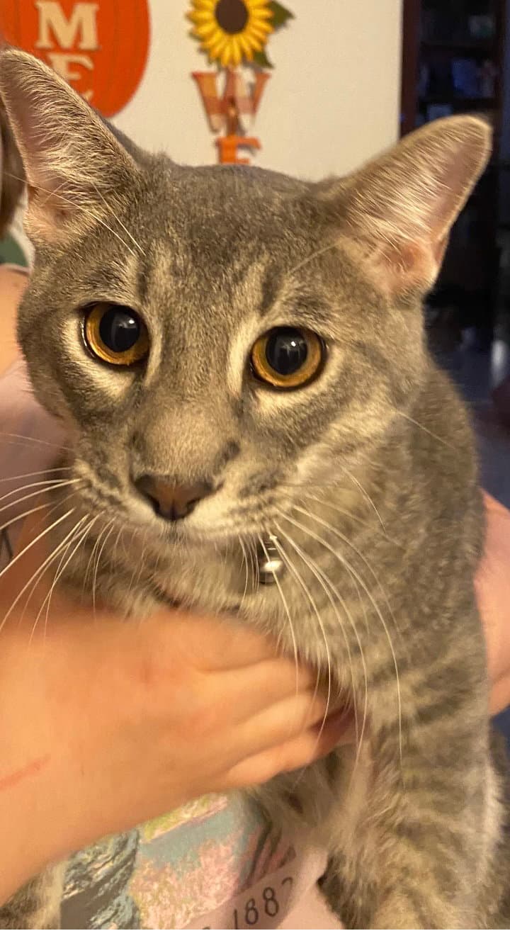 Sammy
