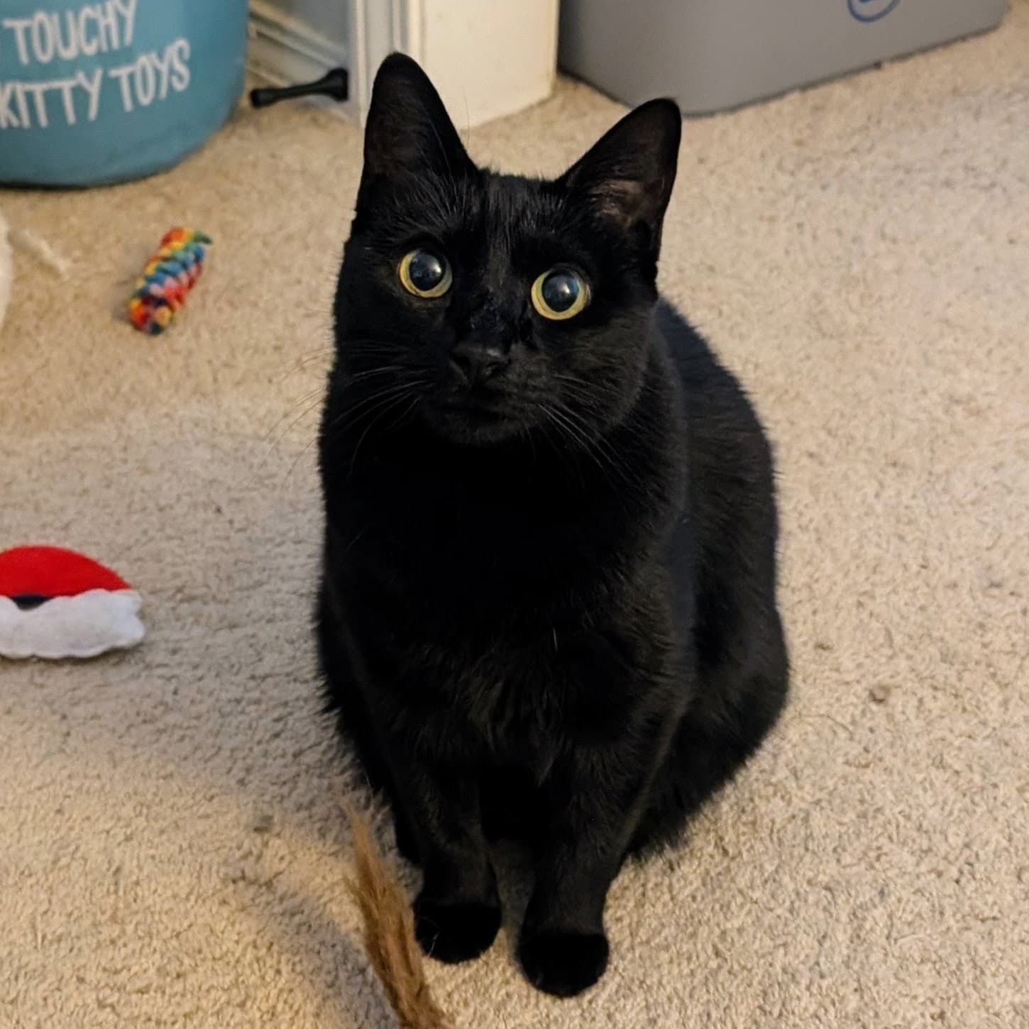 Ebony