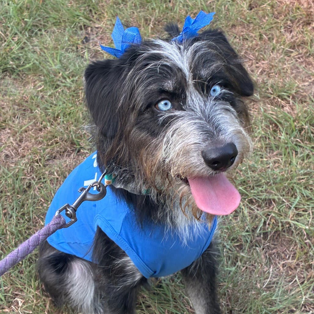 Darla