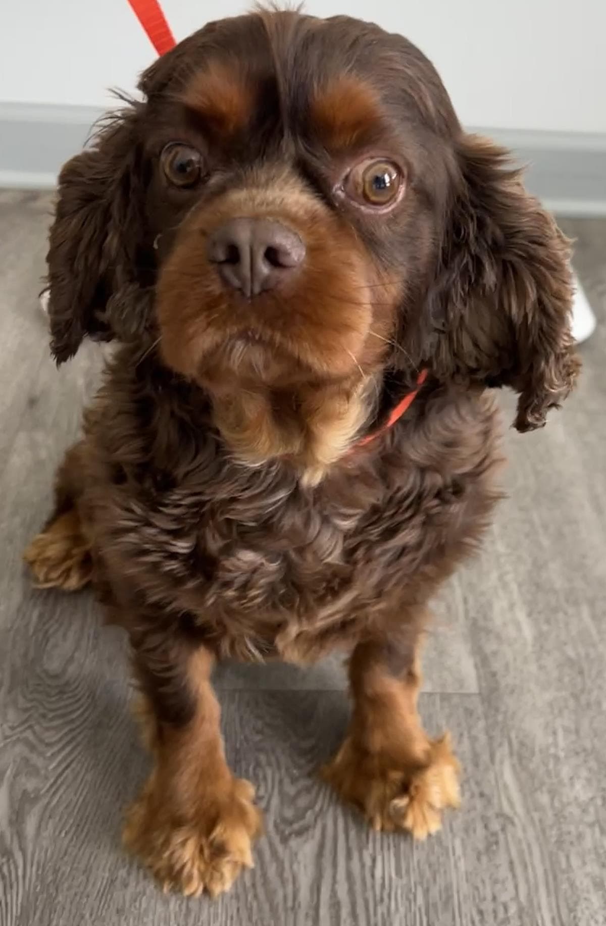 Buster