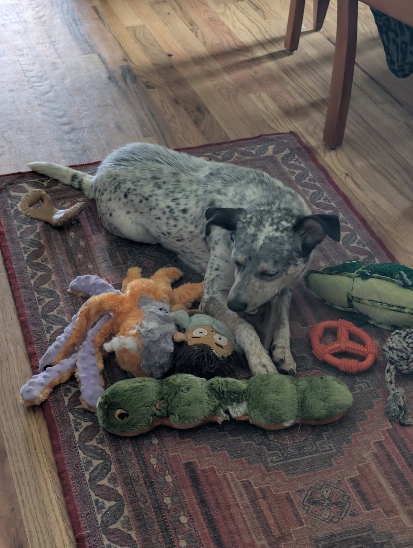 Patches