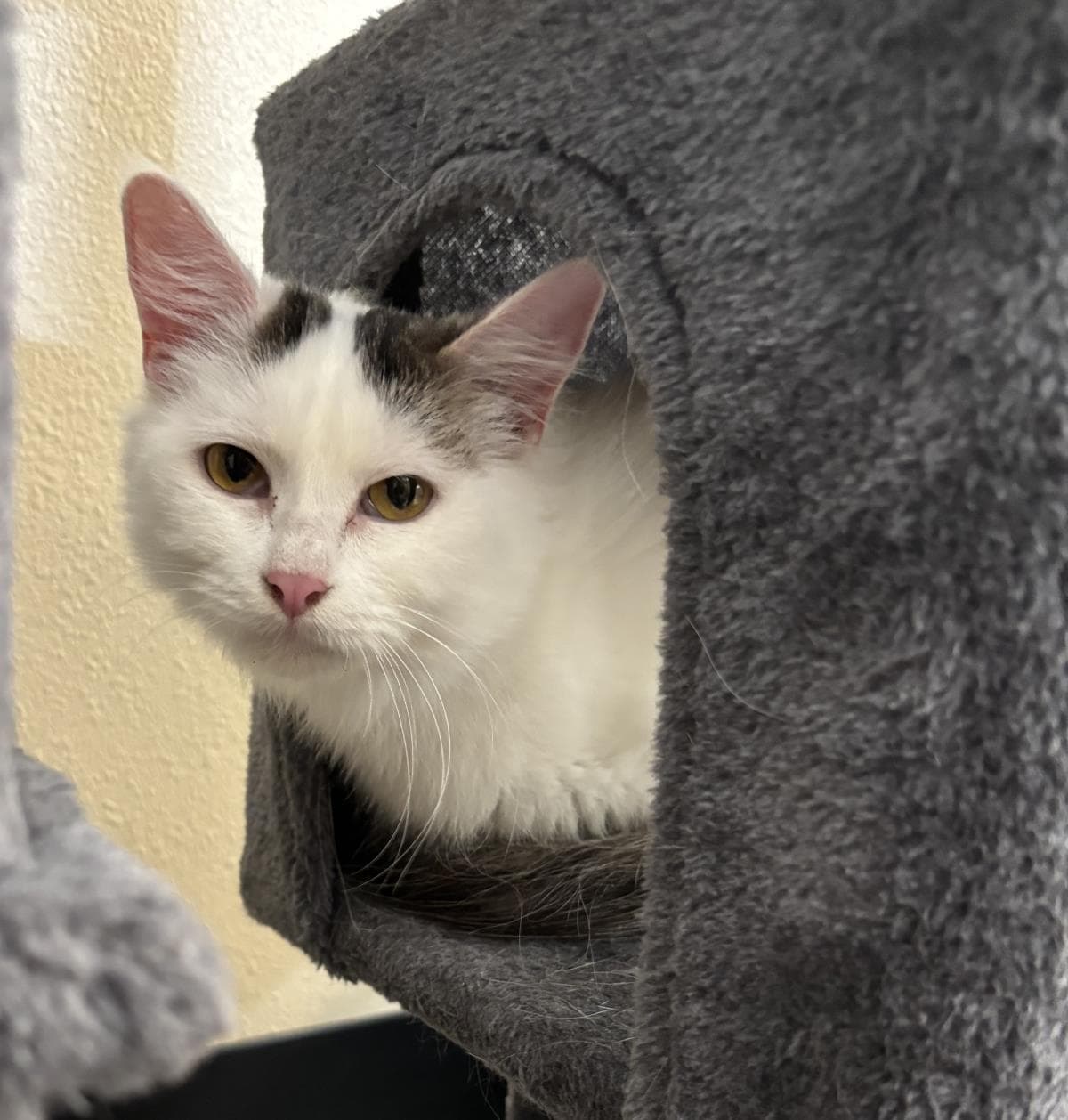 Sally-In Foster
