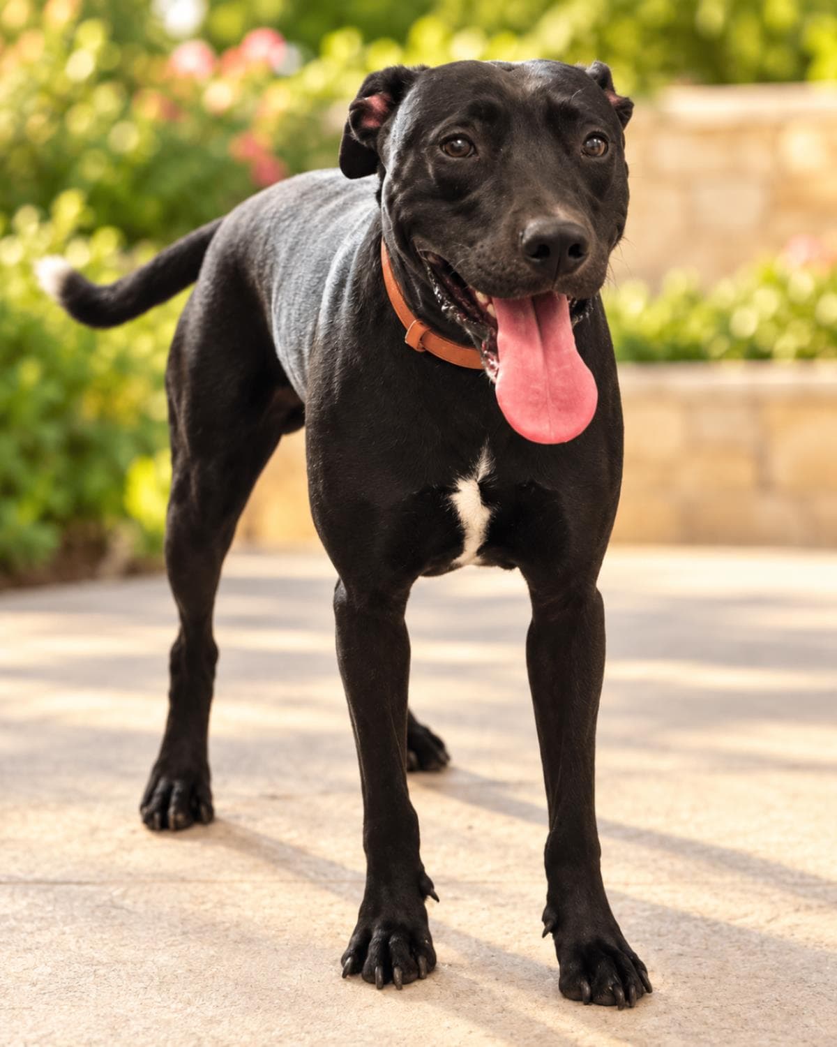Max- In Foster