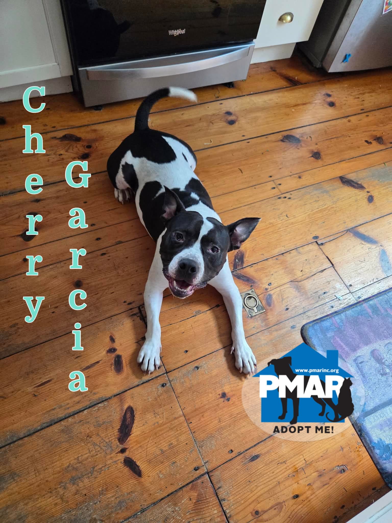 Cherry Garcia