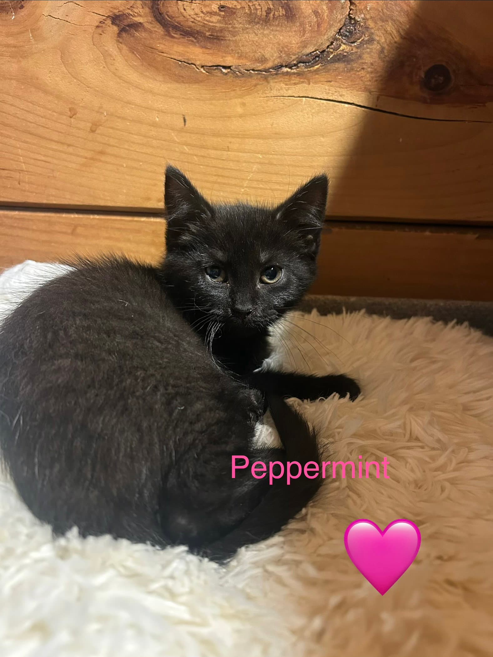 Peppermint