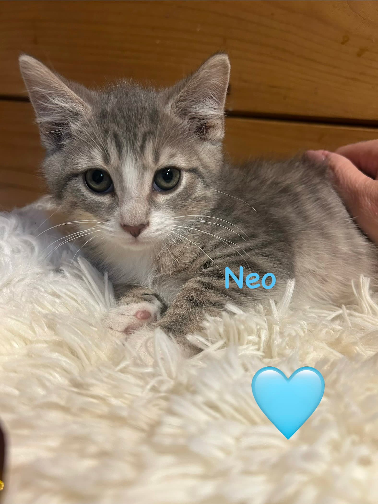 Neo