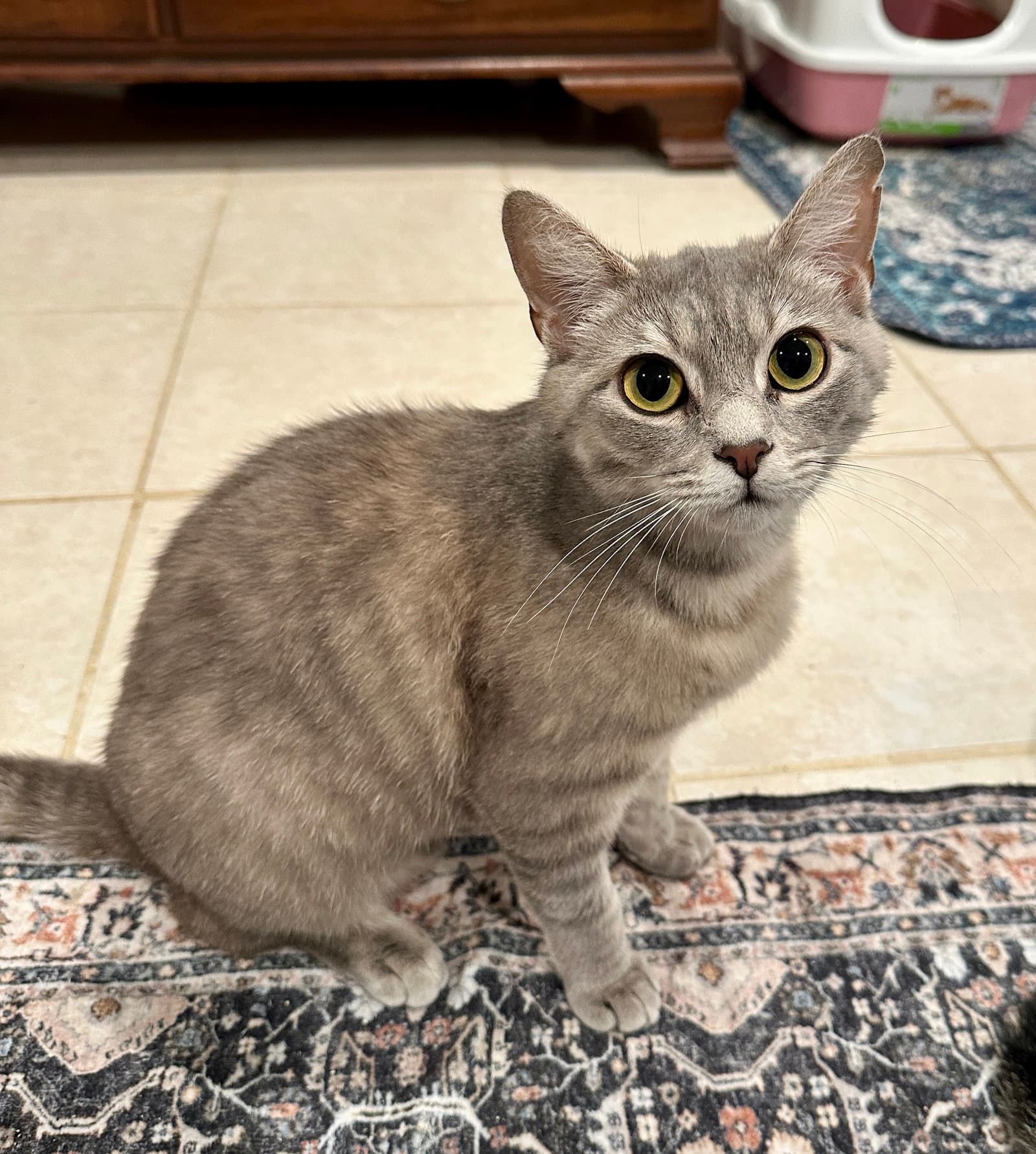 Zoe