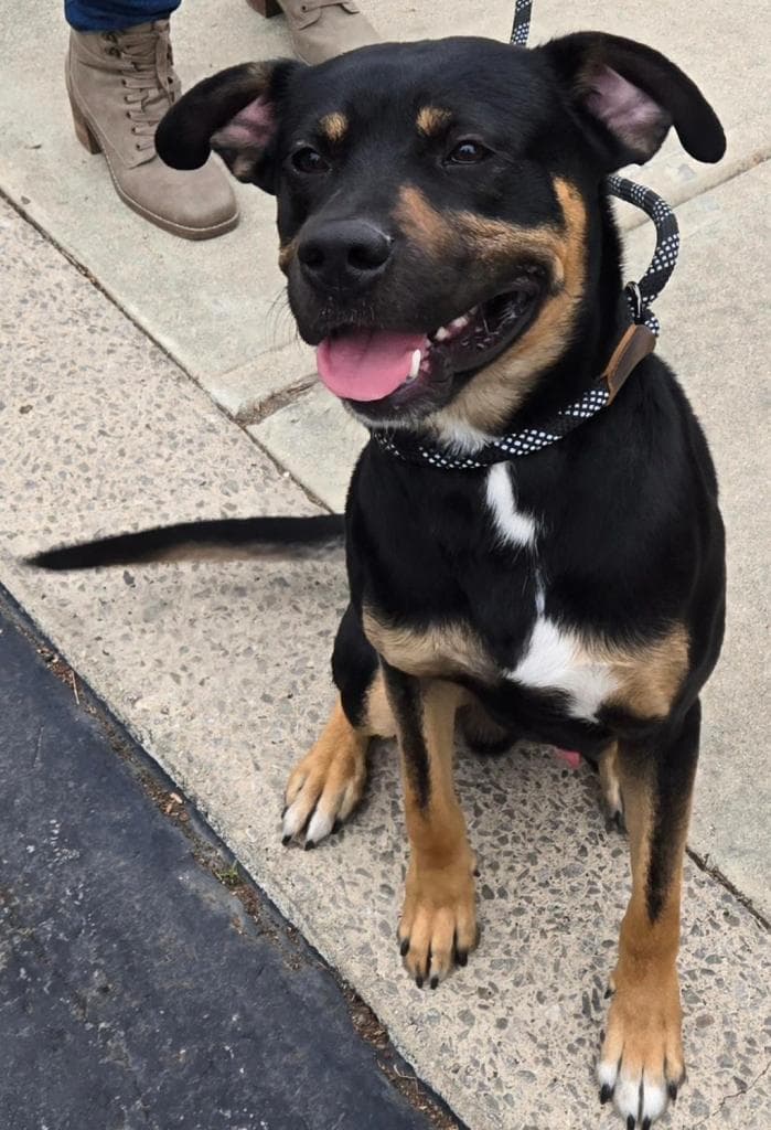 Rudy
