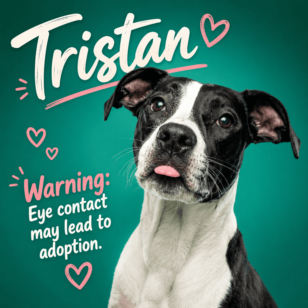 Tristan