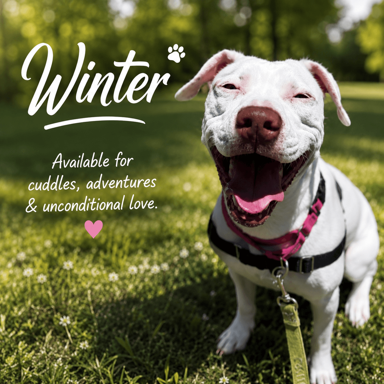Winter